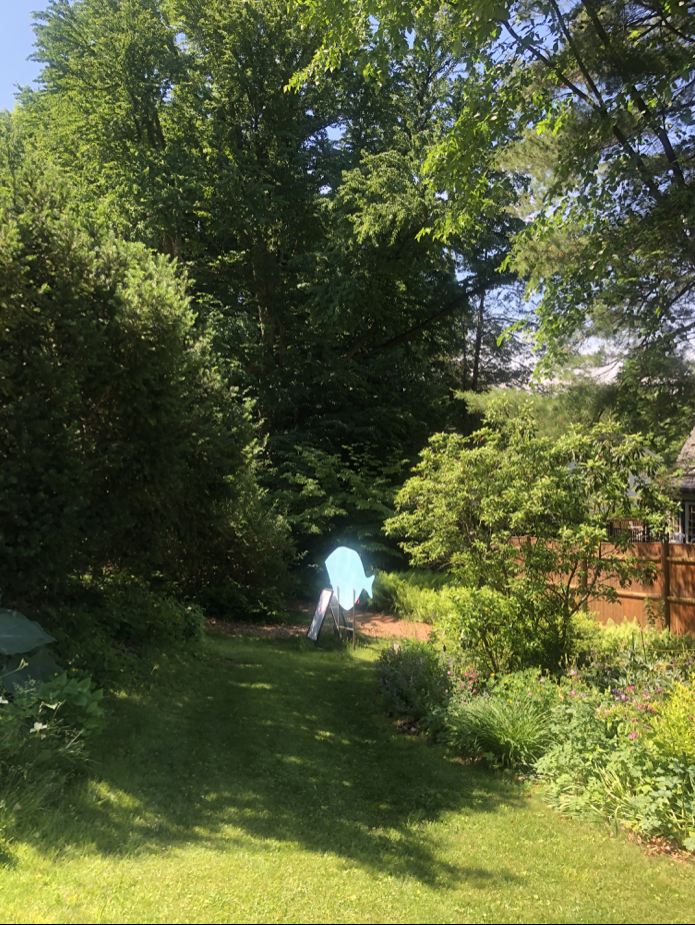 2022 Newsletter – The Snowball Effect Project
